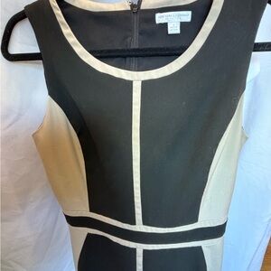 New York & Company Elegant Black and Cream Midi Dress